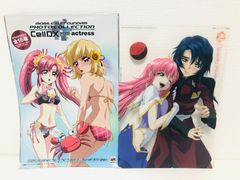 機動戦士ガンダムSEED DESTINY フォトコレクション Cell DX アスラン・ザラ ミーア・キャンベル