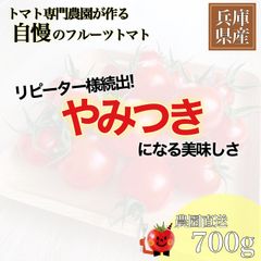フルーツミディトマト「甘えん坊の赤オニくん」 700g