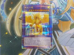 遊戯王 神光の龍 クォーターセンチュリーシークレットレア 25th  LEDE