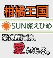 クール便 限定入荷！高知県産 川江農園 幻のフルーツトマト 約1.8kg