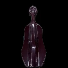 チェロ　ハードケース　Andreas Eastman　中古 2025年最新】チェロケース イーストマンの人気アイテム - メルカリ