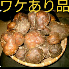 丹波山の芋ワケあり1キロ(山の芋)