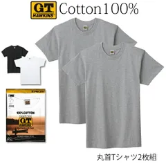 【メール便送料無料】GUNZE G.T.HAWKINS メンズ クルーネックＴシャツ 2枚組 綿100％ 天竺素材 丸首 グンゼ GTホーキンス ＃Q1 01-HK10132[M便 1/1]