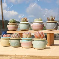 Item thumbnail for item 9725c9e2-8495-4665-bb14-ea5e8abbd2b6