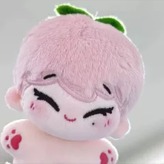 2025年最新】enhypen ソヌ ぬいぐるみ マスターの人気アイテム