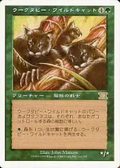 ウークタビー・ワイルドキャット　７版　foil ウークタビー・ワイルドキャット 7版 foil ウークタビー