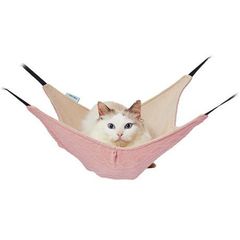 Item thumbnail for item eac873a2-bb2e-41fb-8c06-51918e6de5cc