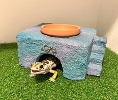 2025年最新】レプタイルボックスの人気アイテム - メルカリ