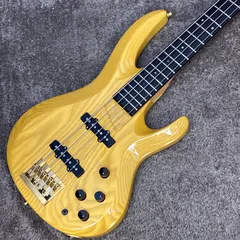 ESP bottom line ボトムライン 改造 カスタム　ケース付 ESP bottom line ボトムライン 改造 カスタム ケース付
