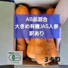 値下げセール中！有機JAS人参　大きめ　３キロ
