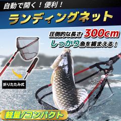 タモ網 タモ たも 3m ランディングネット 玉網 釣り 折りたたみ 折り畳み 魚 網 ブリ マグロ 川 海 湖 磯 軽量 耐久性 調整 調節 サバ イカ