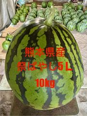 【訳あり優品】熊本県産大玉スイカ　祭ばやし５Ｌ（１０ｋｇ）　ご自宅用　フードロス商品　外観にこだわらない方向け　自宅用
