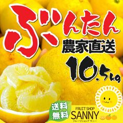 みかん 愛媛/高知県産 訳あり 文旦 ぶんたん 箱込10.5kg（10kg+保証分500g）（2月中旬～ご注文順に発送）※沖縄・離島・北海道は発送不可