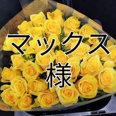 バラ 黄色 AB級品50センチ30本切花生花