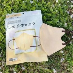 3D立体マスク　5袋　1袋10枚入り　薄茶色　　不織布マスク　血色マスク