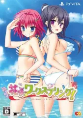 【中古】PSVITAソフト 花咲ワークスプリング! [限定版]