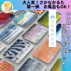 さかなかるた グッドデザイン賞 触って楽しい お風呂で遊べる 知育玩具 カルタ 千葉印刷  大人気 プレゼント