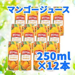 BVitas マンゴージュース 250ml×12本 程よい甘さでスッキリ飲みやすいマンゴージュースです。常温便 Mango Juice AS206800012