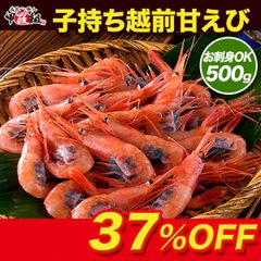 🦐 子持ち越前甘えび500g/約40尾入り【エビ】【えび】【海老】【あまえび】【アマエビ】【甘エビ】【甲羅組】