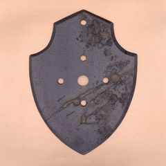 数量限定！｜ビカクシダをより美しく！｜甍な着生板