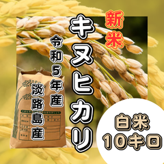 新米 令和5年産 キヌヒカリ  白米10キロ 淡路島産 産地直送
