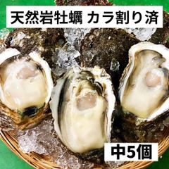 天然岩牡蠣 中5個 1k～1.2ｋ （200～250g×5個）カラ割り 殻付き 日本海産  生食  岩ガキ お中元 ギフト 贈答 バーベキュー