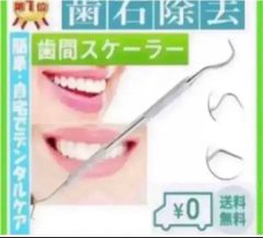 Item thumbnail for item 5d1a7243-075a-4e2a-a228-76e4c2b10708