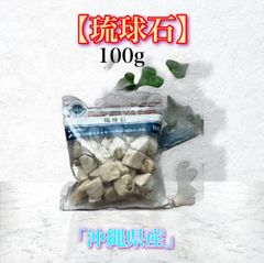 ✨★【琉球石】⭐「さざれ石」（沖縄県／日本銘石)⭐(約100ｇ)⭐「精神と肉体エネルギーの復活」★✨
