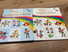【美品・未使用あり】DWE 2冊セットWords ステッカーブック DWE MY BIG BOOK OF WORDS マイビックオブワーズ