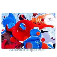 カネボウ ライブリースキン ウェア キット リミテッド エディションa オークルC