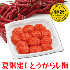 ピリッと 旨辛 とうがらし梅 ご家庭用エコパック380g ピリ辛 国産 南高梅 辛い 梅干し 唐辛子 梅翁園 ばいおうえん