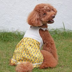 犬と生活　サマーワンピプロバンス