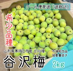 クール便【幻の梅】山形県寒河江市産 谷沢梅 箱抜き 2kg 中熟 青梅 市場相当品
