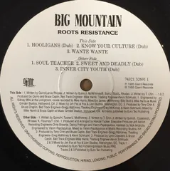 米12” Big Mountain Roots Resistance 7432132691 Giant Records /00250のサムネイル