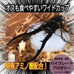 2025年最新】カブトムシ オスの人気アイテム - メルカリ