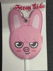 Stray Kids(ストレイキッズ・スキズ・SKZ) チャンビン(CHANGBIN) DWAEKKI(トゥエッキ) ミニうちわ キーホルダー 日本 グッズ