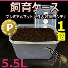 飼育ケース　大容量コンテナ　5.5L　プレミアムマット入り　1個　国産 外国産カブトムシ 幼虫飼育に最適！　おまけ付！！