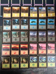 2025年最新】MTG Forestの人気アイテム - メルカリ