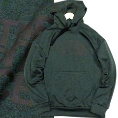 新品 THE NORTH FACE ノースフェイス ビッグロゴ ALAMO HOOD PULLOVER アラモ フーディー プルオーバー パーカー ダークグリーン