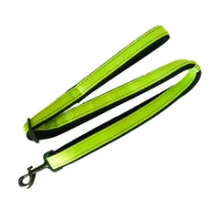 masamilk ダブルリング首輪 大型犬 中型犬 外れにくい 柔らかいパッド ダブルロック 丈夫 ナイロン製 首輪 (リード, グリーン) [グリーン] [リード]