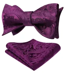 【人気商品】[HISDERN] BC-01 蝶ネクタイ 手結び チーフ付き メンズ ペイズリー ボウタイ セット 結婚式 入学式 披露宴 プレゼント パーティー 色選択