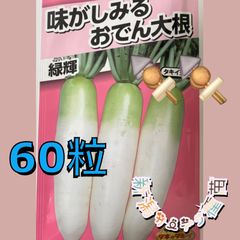おでん大根の種