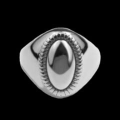 Item thumbnail for item 9f2c92f2-b4fb-4d2e-a002-51d895db4774