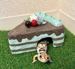 爬虫類シェルター　チョコミント
