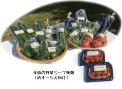沖縄県産 季節の野菜セット(4～5人向け）《野菜5～7種類》