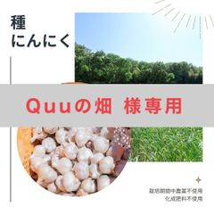 最終11/30まで】種にんにく 遠州極早生 1kg 種用ニンニク 大阪府産