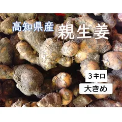 高知県産 親生姜 ３ k g 土付きのサムネイル
