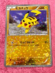 ポケモンカードゲーム/BW　みんなのWAKUWAKUバトル　016/047：(キラ)ピカチュウ