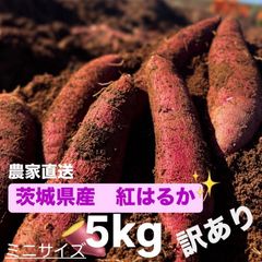 [訳あり] 茨城県産 紅はるか さつまいも ミニサイズ 5キロ