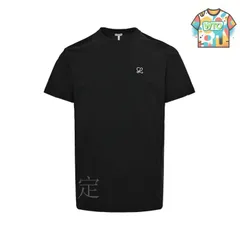 【今日WTO】Loewe 25ss カラーブロック刺繍ロゴ T シャツ-UT52
